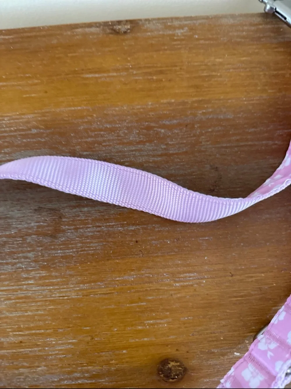 BN dog leash